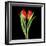 Tulips Red-Magda Indigo-Framed Photographic Print