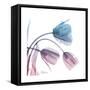 Tulips Rose Serenity-Albert Koetsier-Framed Stretched Canvas