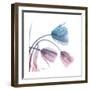 Tulips Rose Serenity-Albert Koetsier-Framed Art Print