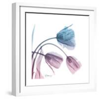 Tulips Rose Serenity-Albert Koetsier-Framed Art Print