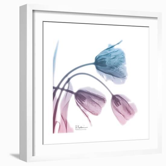 Tulips Rose Serenity-Albert Koetsier-Framed Art Print