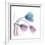 Tulips Rose Serenity-Albert Koetsier-Framed Art Print