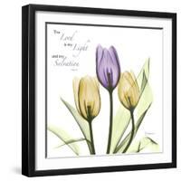 Tulips Salvation-Albert Koetsier-Framed Art Print