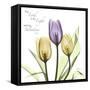 Tulips Salvation-Albert Koetsier-Framed Stretched Canvas