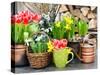 Tulips, Snowdrops and Narcissus Blooms-LiliGraphie-Stretched Canvas