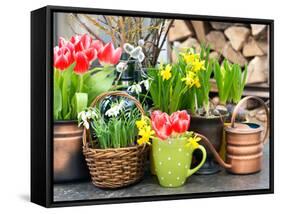 Tulips, Snowdrops and Narcissus Blooms-LiliGraphie-Framed Stretched Canvas