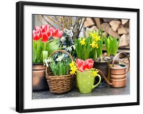 Tulips, Snowdrops and Narcissus Blooms-LiliGraphie-Framed Photographic Print