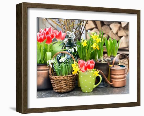 Tulips, Snowdrops and Narcissus Blooms-LiliGraphie-Framed Photographic Print