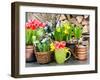 Tulips, Snowdrops and Narcissus Blooms-LiliGraphie-Framed Photographic Print