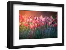 Tulips to attention-Claire Westwood-Framed Art Print