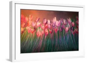 Tulips to attention-Claire Westwood-Framed Art Print