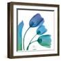 Tulips Turq Blue-Albert Koetsier-Framed Art Print