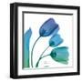 Tulips Turq Blue-Albert Koetsier-Framed Art Print