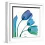 Tulips Turq Blue-Albert Koetsier-Framed Art Print