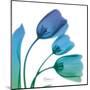 Tulips Turq Blue-Albert Koetsier-Mounted Art Print