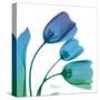 Tulips Turq Blue-Albert Koetsier-Stretched Canvas