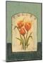 Tulips-Thomas LaDuke-Mounted Art Print