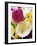 Tulips-null-Framed Art Print