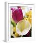 Tulips-null-Framed Art Print