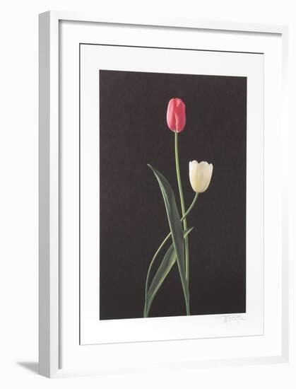 Tulips-Harvey Edwards-Framed Collectable Print