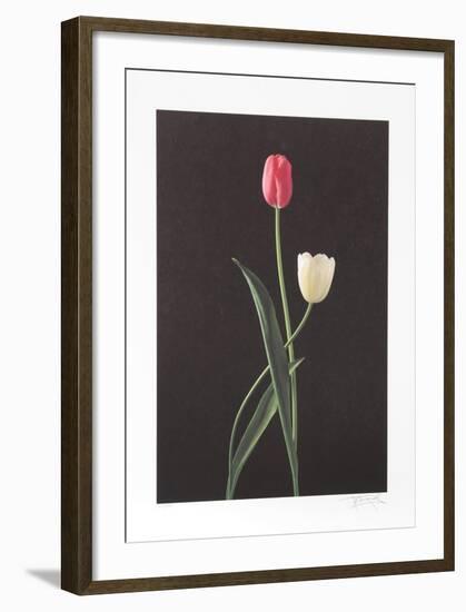 Tulips-Harvey Edwards-Framed Collectable Print