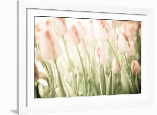 Tulips-Katja Marzahn-Framed Giclee Print