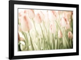 Tulips-Katja Marzahn-Framed Giclee Print