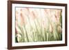 Tulips-Katja Marzahn-Framed Giclee Print