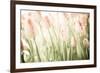 Tulips-Katja Marzahn-Framed Giclee Print