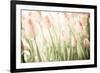 Tulips-Katja Marzahn-Framed Giclee Print