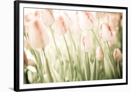 Tulips-Katja Marzahn-Framed Giclee Print