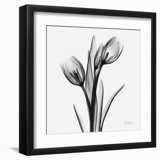 Tulips-Albert Koetsier-Framed Art Print