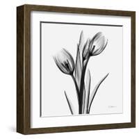 Tulips-Albert Koetsier-Framed Art Print