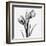 Tulips-Albert Koetsier-Framed Art Print