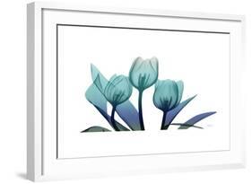 Tulips-Albert Koetsier-Framed Art Print