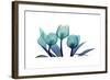 Tulips-Albert Koetsier-Framed Art Print