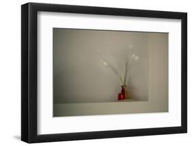 Tulips-Valda Bailey-Framed Photographic Print