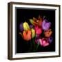 tulips-Magda Indigo-Framed Photographic Print