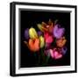 tulips-Magda Indigo-Framed Photographic Print