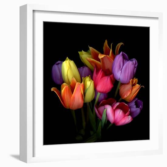 tulips-Magda Indigo-Framed Photographic Print