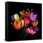 tulips-Magda Indigo-Framed Stretched Canvas