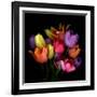 tulips-Magda Indigo-Framed Photographic Print