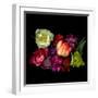 tulips-Magda Indigo-Framed Photographic Print