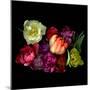 tulips-Magda Indigo-Mounted Photographic Print