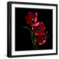 tulips-Magda Indigo-Framed Photographic Print