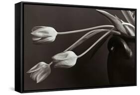 Tulips-Allan Wallberg-Framed Stretched Canvas