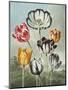 Tulips-Robert John Thornton-Mounted Premium Giclee Print