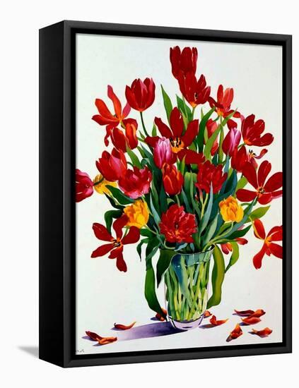 Tulips-Christopher Ryland-Framed Stretched Canvas