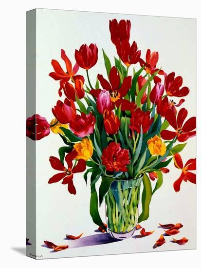 Tulips-Christopher Ryland-Stretched Canvas