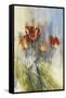 Tulips-Simon Addyman-Framed Stretched Canvas